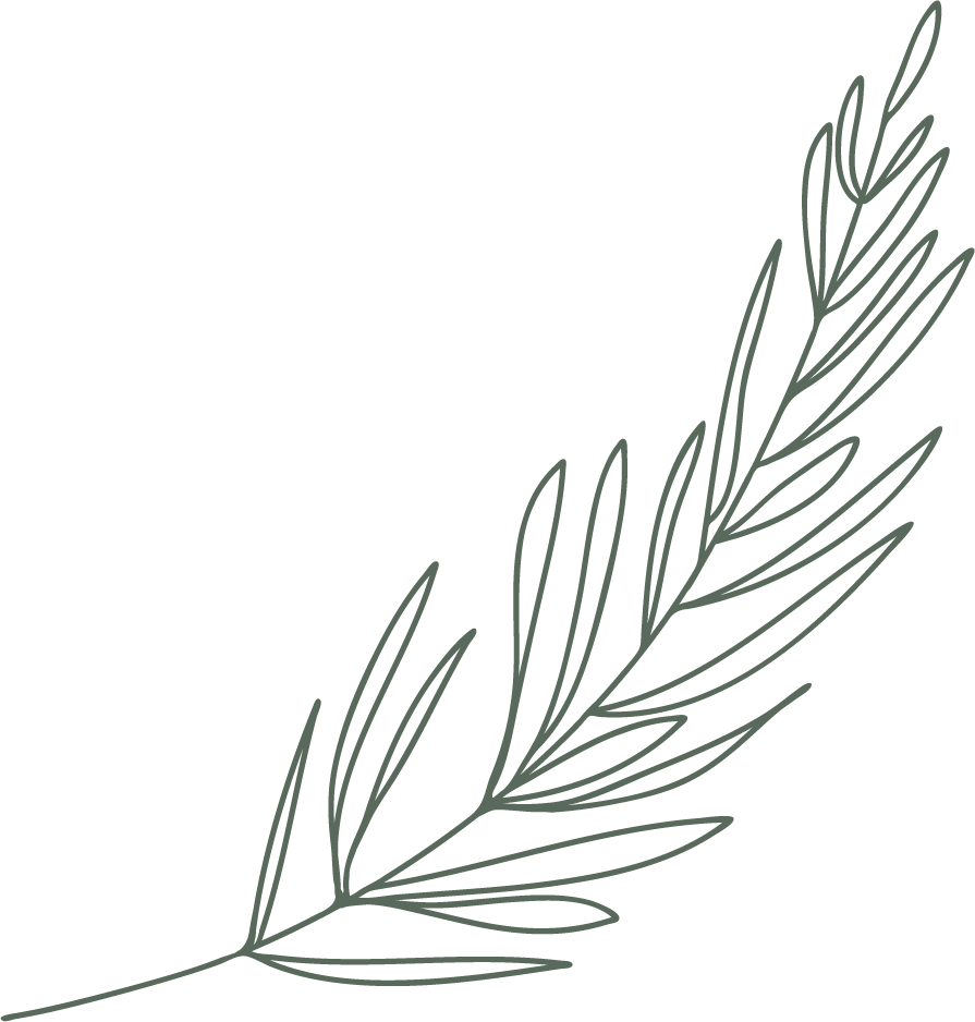 Decoração