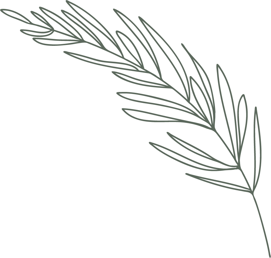 Decoração